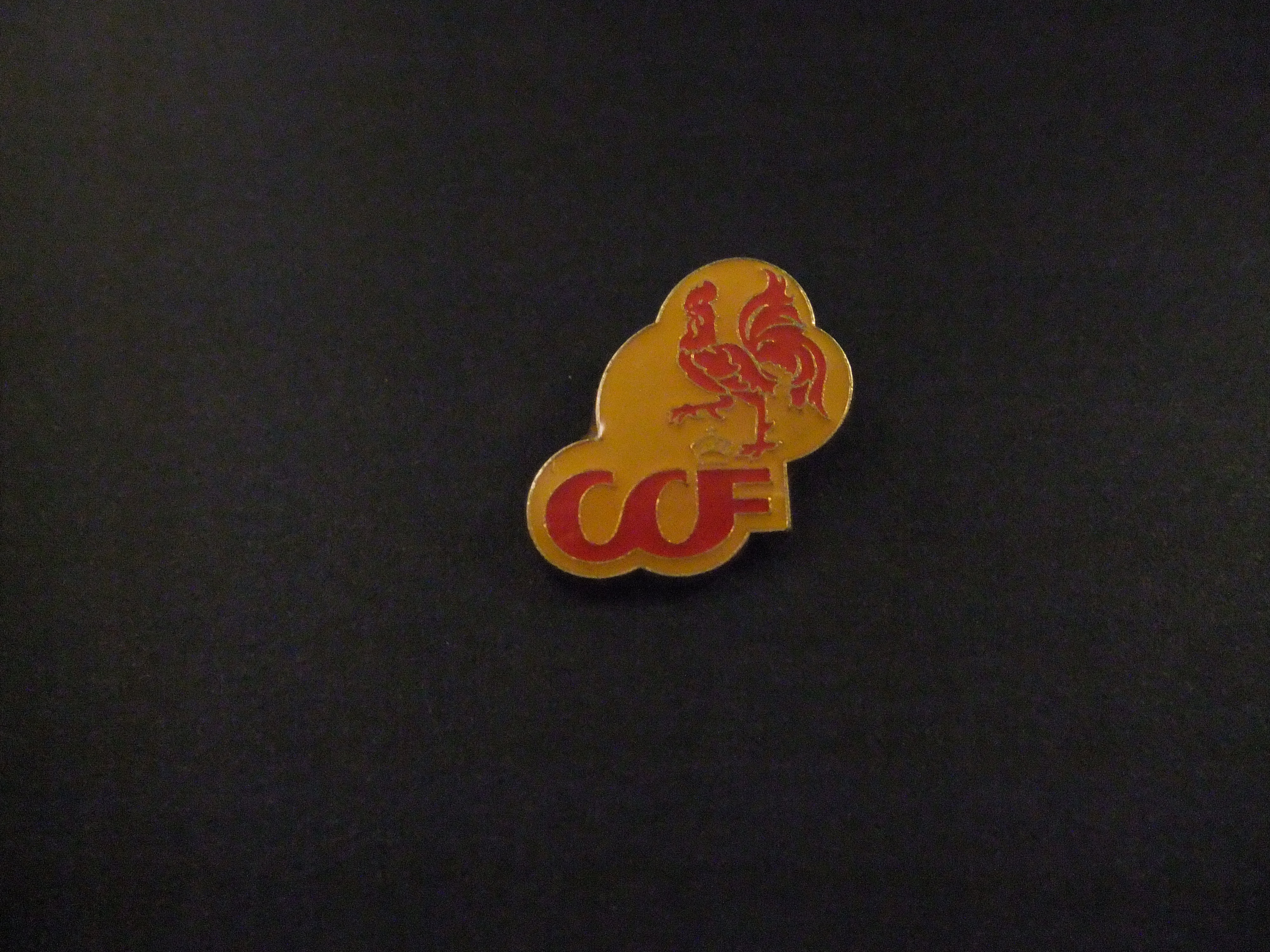 CCF (Crédit Commercial de France) commerciële bank in  Frankrijk